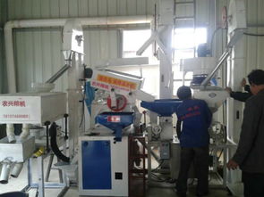 批發(fā)供應(yīng)廠家直銷組合碾米機成套設(shè)備 價格、圖片與技術(shù)服務(wù)詳解