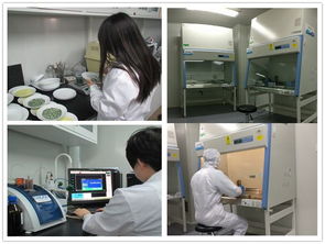 健康家電檢測中心 測試計量技術(shù)研究所 環(huán)境與健康相關(guān)產(chǎn)品檢測所簡介與技術(shù)服務(wù)體系