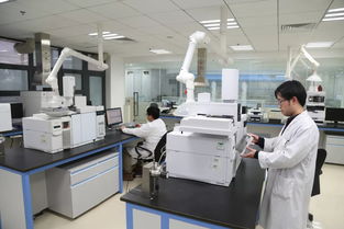 科技引領，服務賦能 以創新技術打響“上海制造”品牌，驅動集團高質量發展